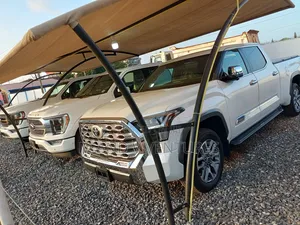 Car Packing Canopy