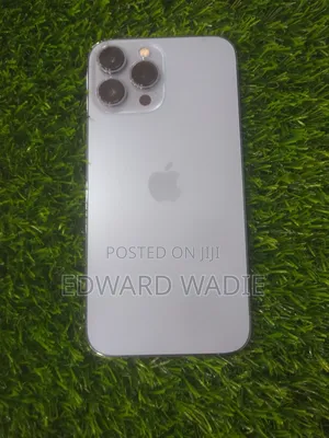 Apple iPhone 13 Pro Max 128 GB Gray