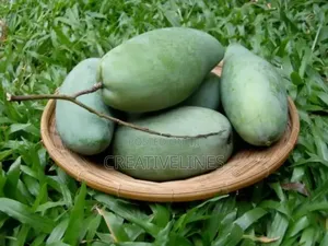 Supply of Mangoes
