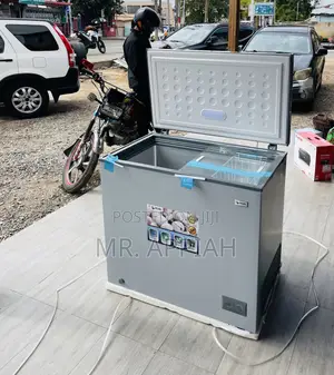 Extremely Chilling Pearl 200l Electric Freezer(Silver).
