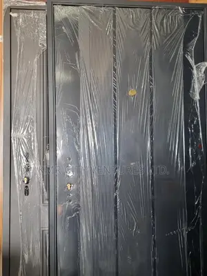 Modern Security Door