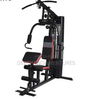 Single Station Home Gym