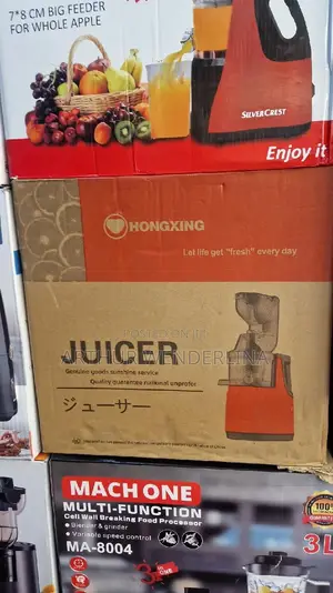 Hongxing German Technology Slow Juicer