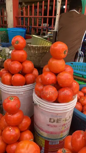 Fresh Tomatoes