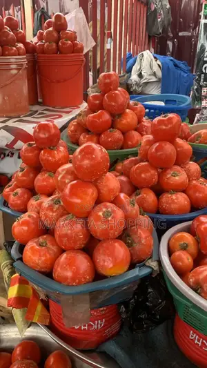 Fresh Tomatoes