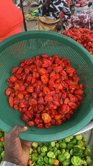 Fresh Red Pepper
