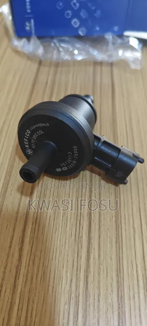 Kia Perdge Valve (E-Valve )