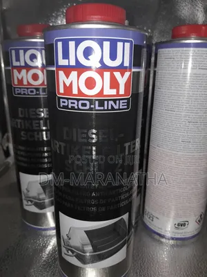 DIESEL Particulate Filter Protection DPF