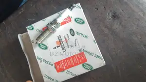Original Range Rover Sports/Velar/Evoque Spark Plugs
