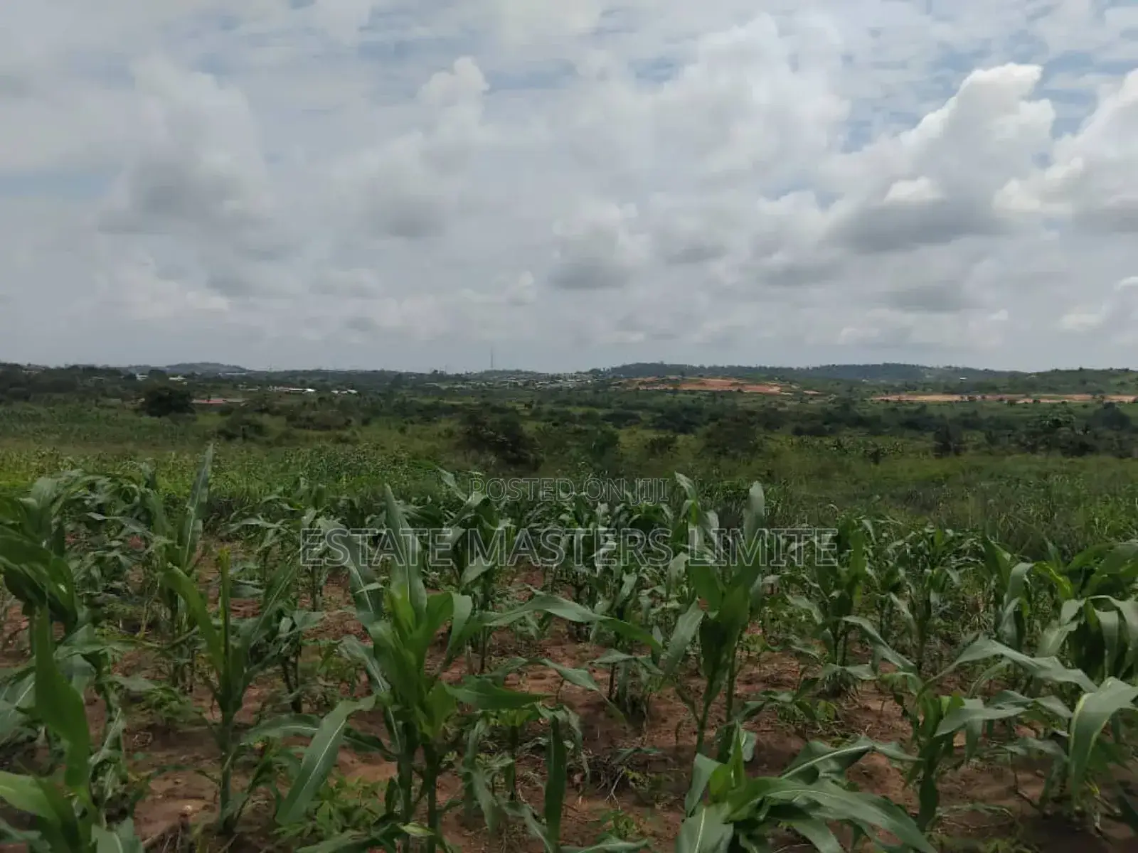 Set A Plan To Own A Plot Of Land At Dominase