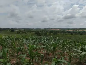 Set A Plan To Own A Plot Of Land At Dominase