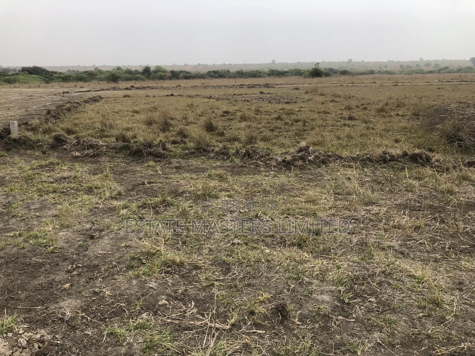 Buy an Estate Land on a Discount Price