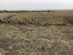 Buy an Estate Land on a Discount Price