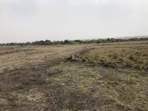 Buy an Estate Land on a Discount Price