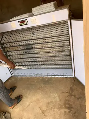 10560 Capacity Egg Incubator