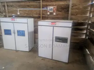 5280 Capacity Eggs Incubator