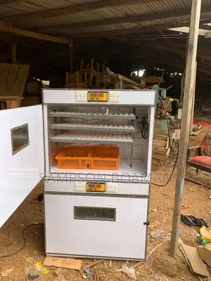 120 Capacity Eggs Incubators
