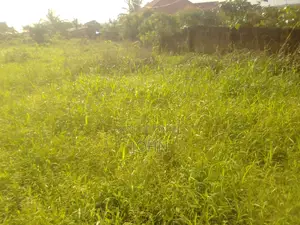 Fenced 2 Plots of Land for Sale at Ablekuma Manhean