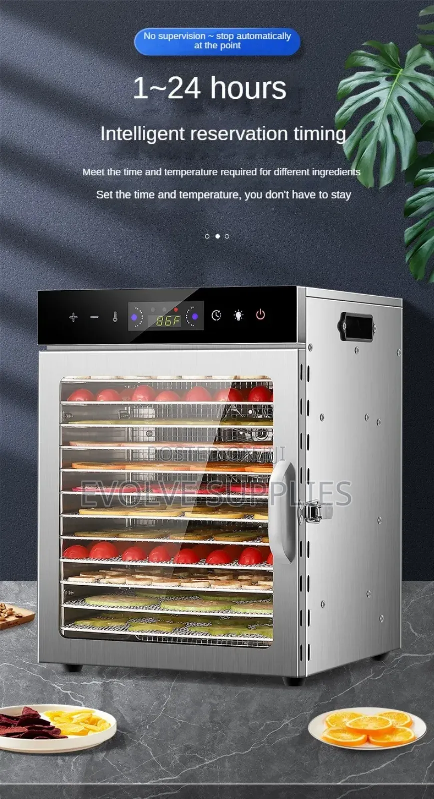12 Tray Dehydrator
