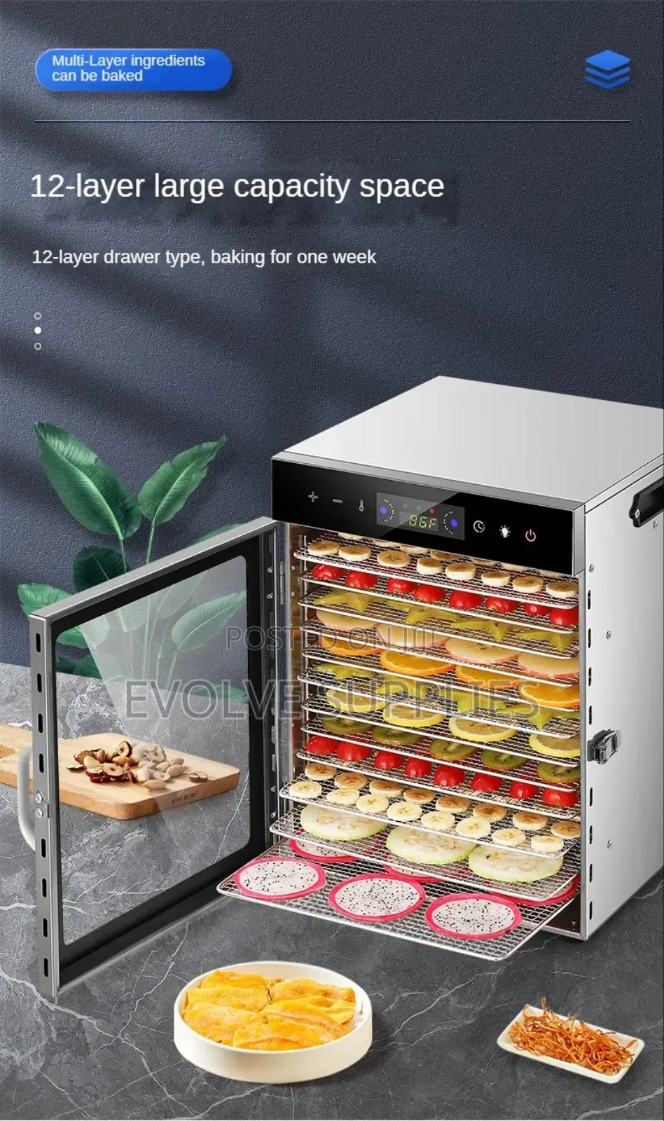 12 Tray Dehydrator