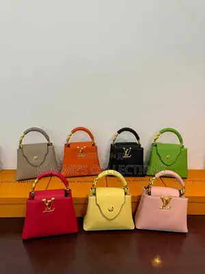Louis Vuitton Ladies Handbag ( Comes in a Box)