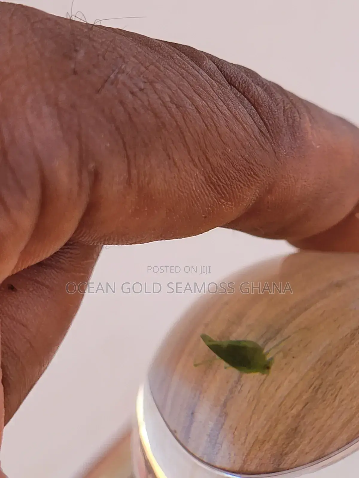 Lensball Crystal