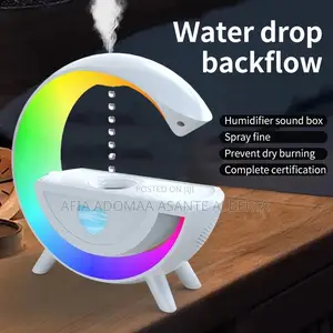 Dual Purpose Humidifier