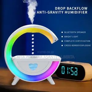 Dual Purpose Humidifier