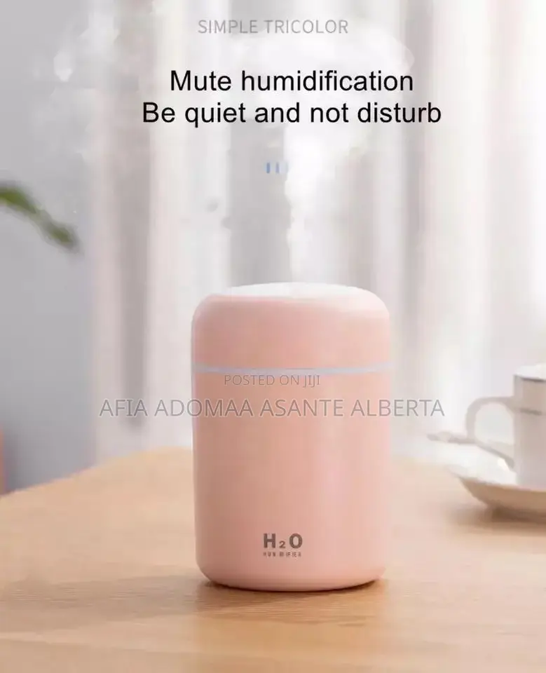 Smart Cool Humidifier