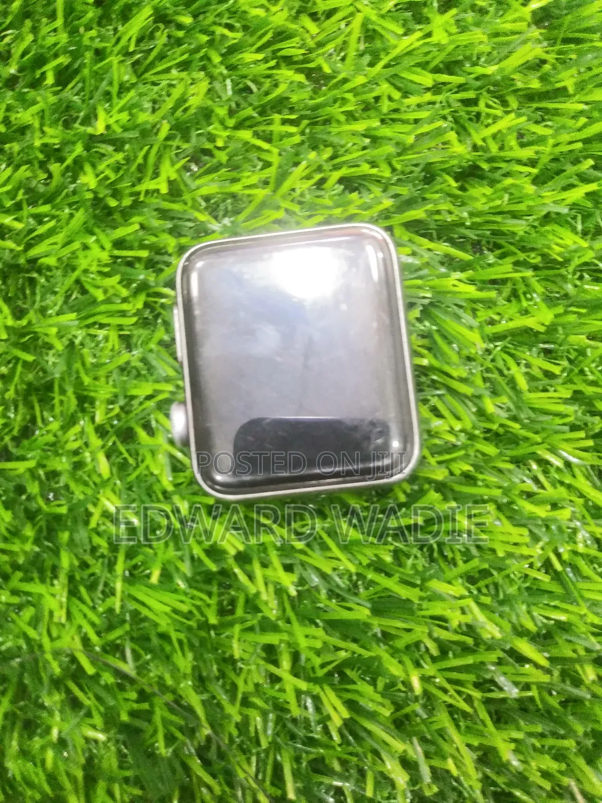 Apple Series Watch
