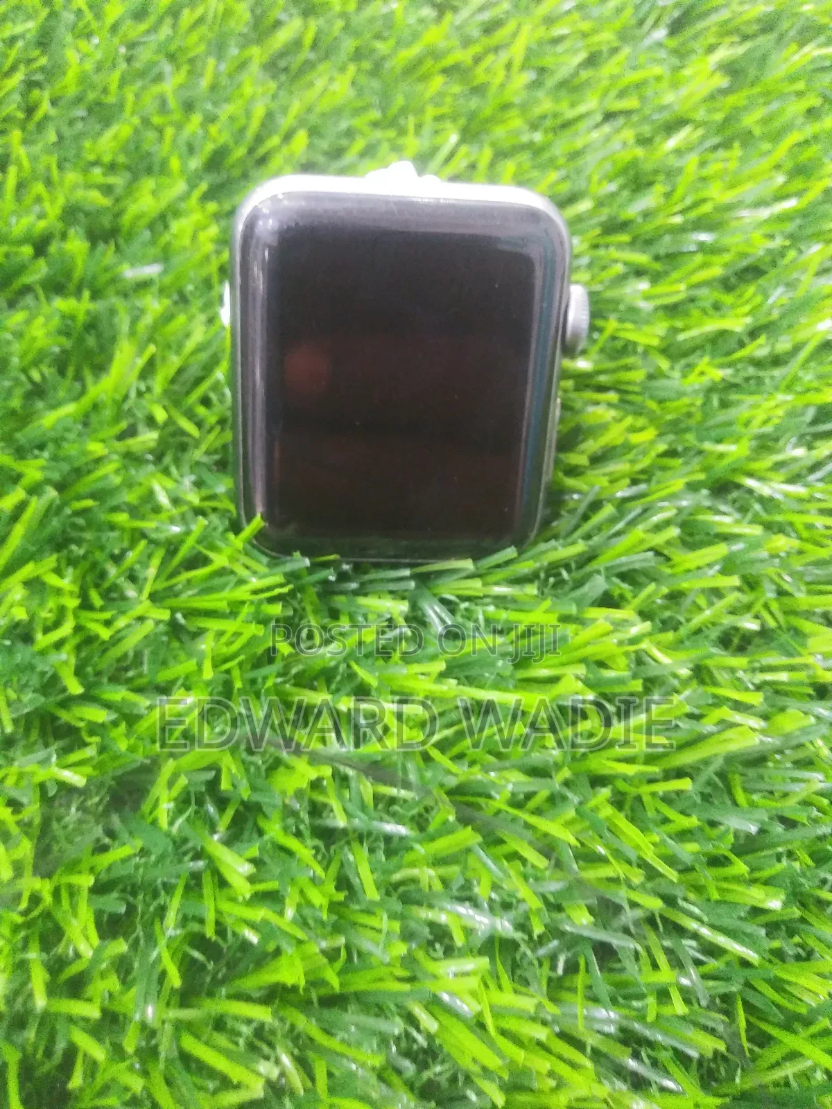 Apple Series Watch