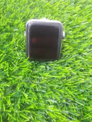 Apple Series Watch