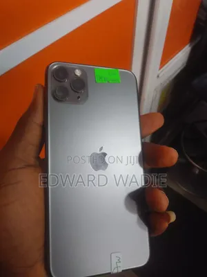 Apple iPhone 11 Pro Max 256 GB Gray