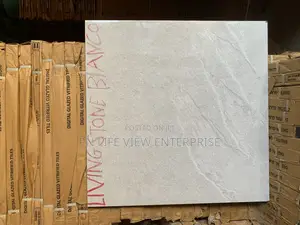 60x60 India Tiles