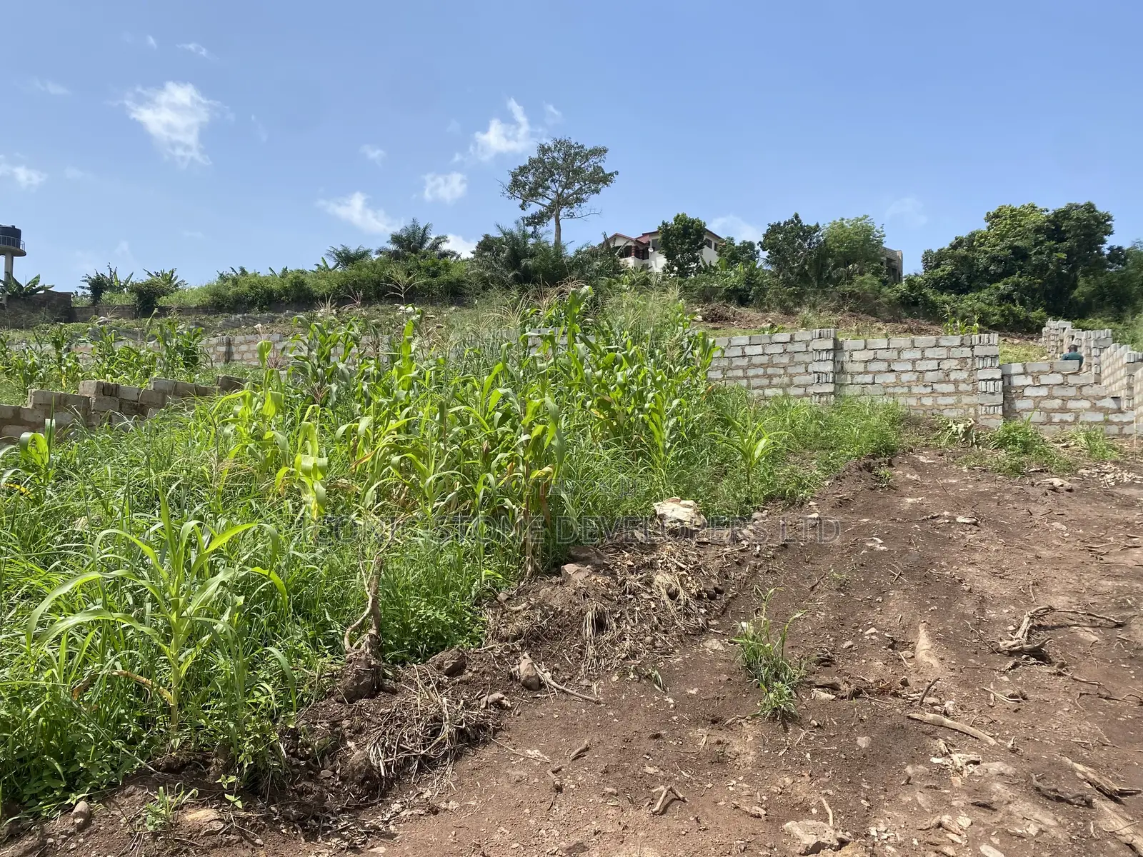 Registered Land for Sale at Aburi