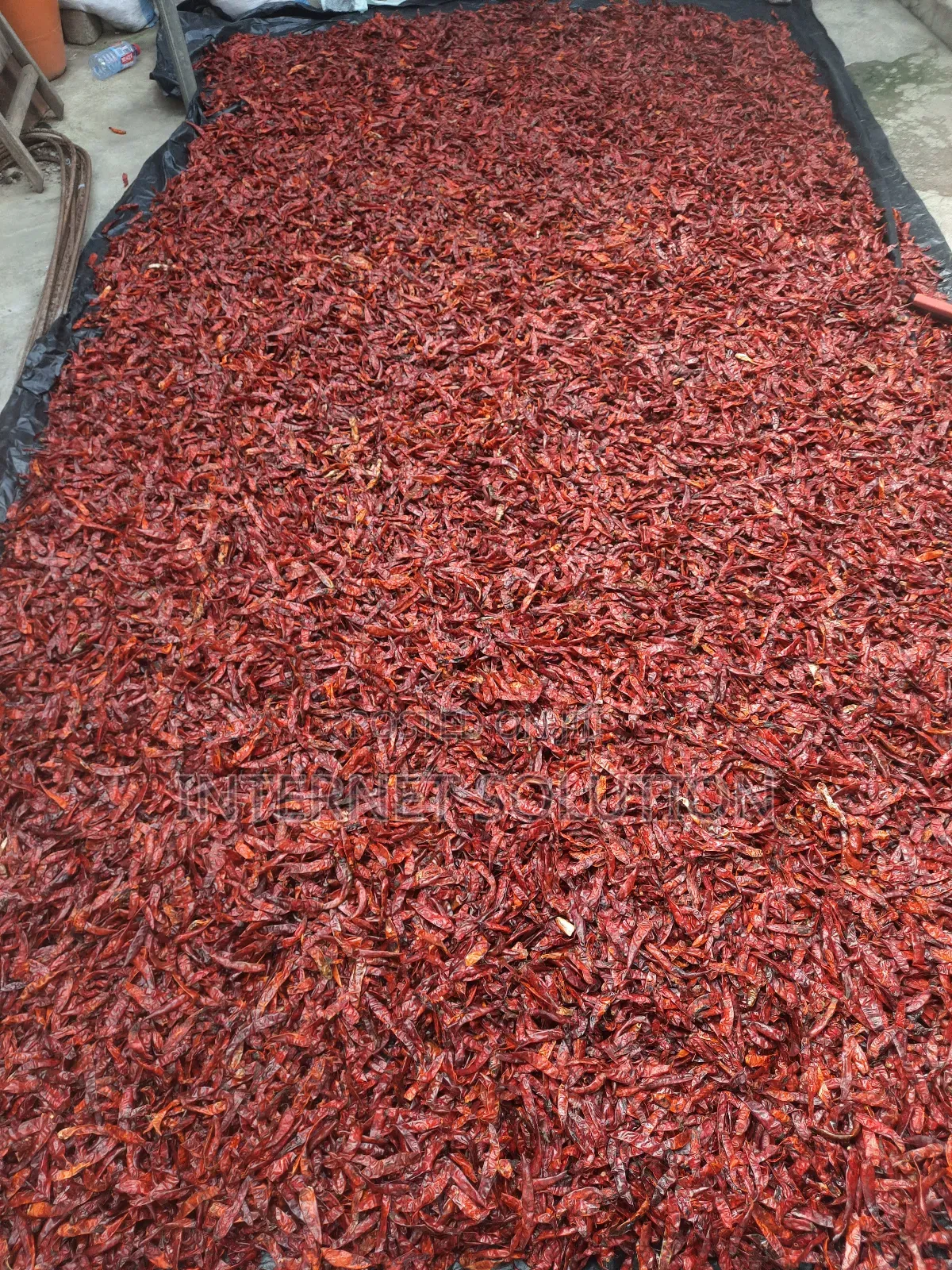 Organic Dry Chilli Cayenne Pepper Reduction Sales