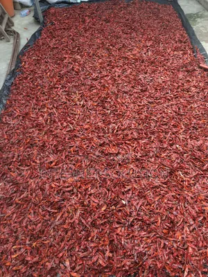 Organic Dry Chilli Cayenne Pepper Reduction Sales