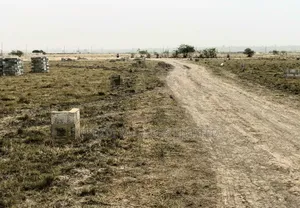 Demarcated Estate Land With Structured Road for Sale