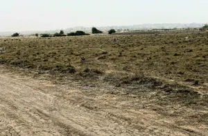 Demarcated Estate Land With Structured Road for Sale