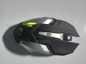 Wireless Rechargeable Gaming Mouse RGB