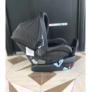 New Born Peg Perego Primo Viaggio 4-35 Infant Car Seat