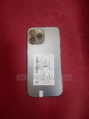 Apple iPhone 12 Pro Max 128 GB Gray