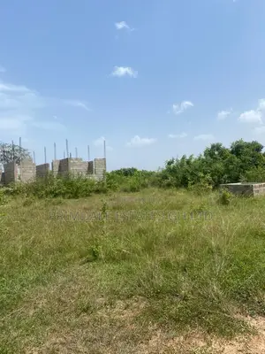 Stunning and Registered Lands for Sale at Afienya