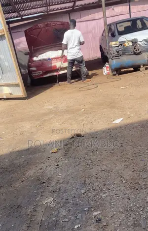 Professional Car Sprayer