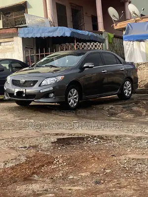 Professional Car Sprayer