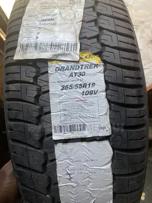 265/55r19 Dunlop Grandtrek At30 All-Terrain Tire