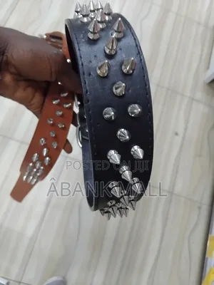Dog Collar