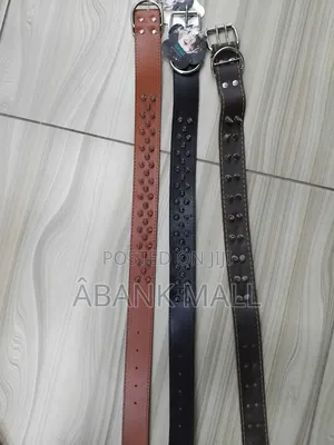 Dog Collar