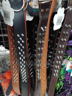 Dog Collar