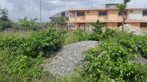 Plot for Sale West Fijia Yalex